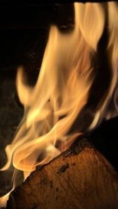 vajilla para restaurantes gastroceramica ceramica creativa taller de ceramica