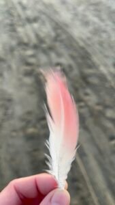 vajilla para restaurantes gastroceramica ceramica creativa taller de ceramica