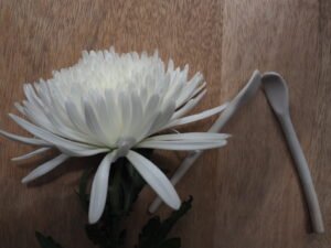 vajilla para restaurantes gastroceramica ceramica creativa taller de ceramica