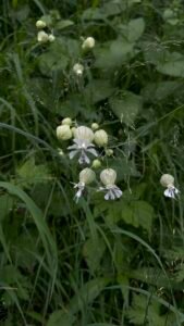 vajilla para restaurantes gastroceramica ceramica creativa taller de ceramica