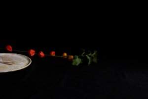 vajilla para restaurantes gastroceramica ceramica creativa taller de ceramica