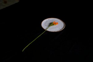 vajilla para restaurantes gastroceramica ceramica creativa taller de ceramica