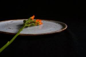 vajilla para restaurantes gastroceramica ceramica creativa taller de ceramica