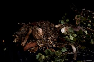 vajilla para restaurantes gastroceramica ceramica creativa taller de ceramica